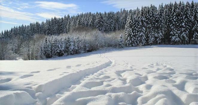 Maier Chalet ไบเออริช ไอเซินชไตน์ ภายนอก รูปภาพ